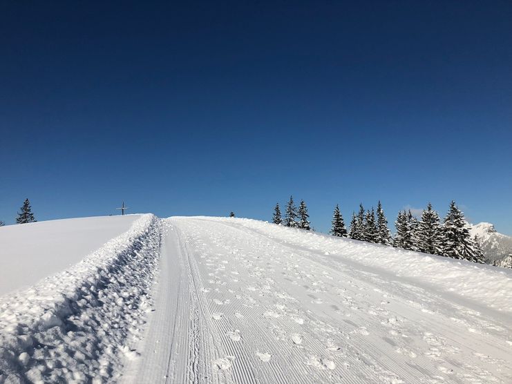 Winterwanderweg Krinnenalpe - Edenalpe