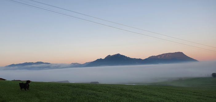 Herbststimmung - Blick Immenstädter Horn und Mitta