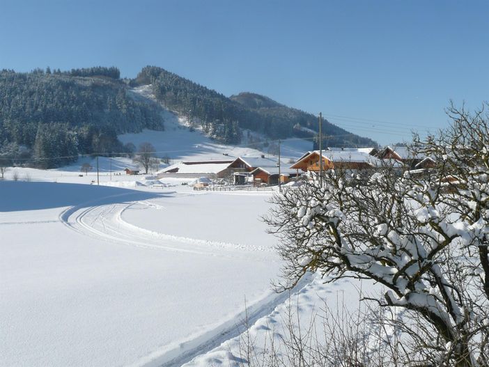 Blick auf die Loipe vom Haus