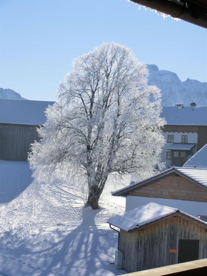 Winterfrost