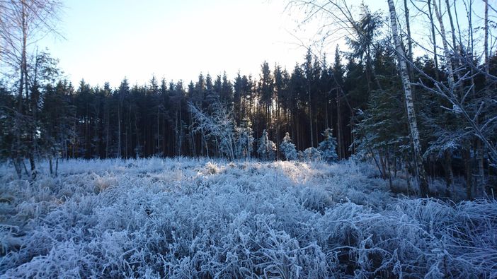 Winterlandschaft