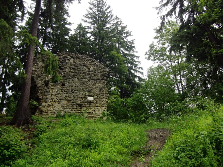 Ruine Neuenburg.