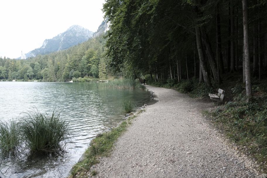 Alpsee-Rundweg direkt am See