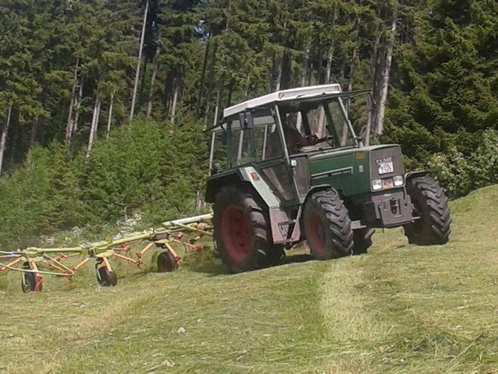 Auf dem Traktor mit Fahren darf jeder