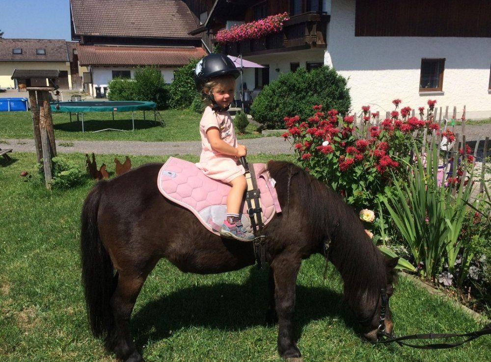 Reiten auf Pony Heidi