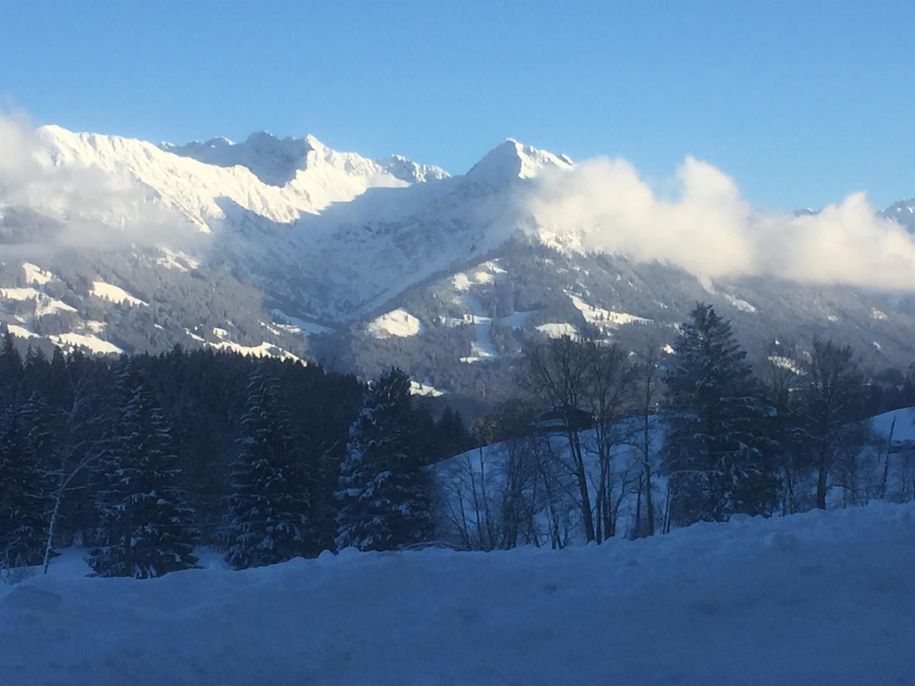 Blick zum Nebelhorn