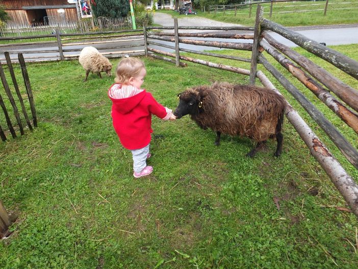 Heidi und Lotti