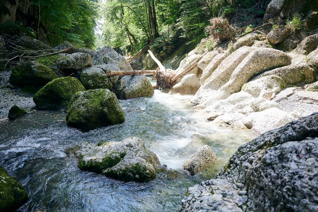 Engenlochschlucht, Wasserwanderweg in Hittisau