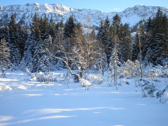 Hallo Winter