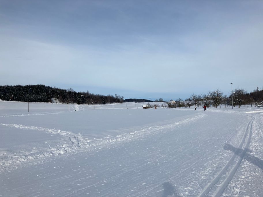 Flutlichtloipe Niederwangen