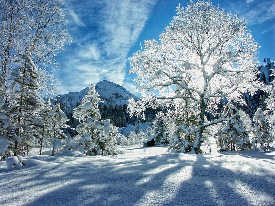 Winterbild