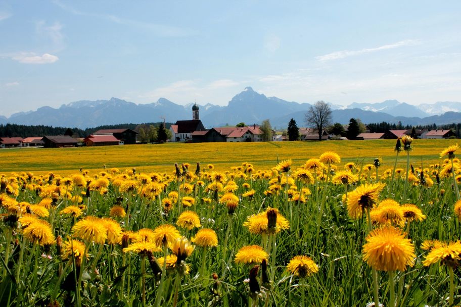 Blick auf Speiden und Maria Hilf