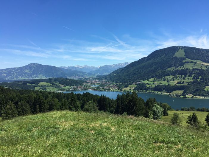 Blick auf den Alpsee