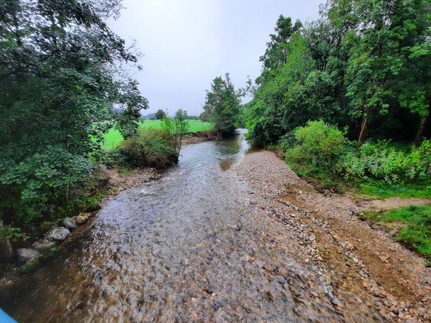 Argen bei Kleinweiler
