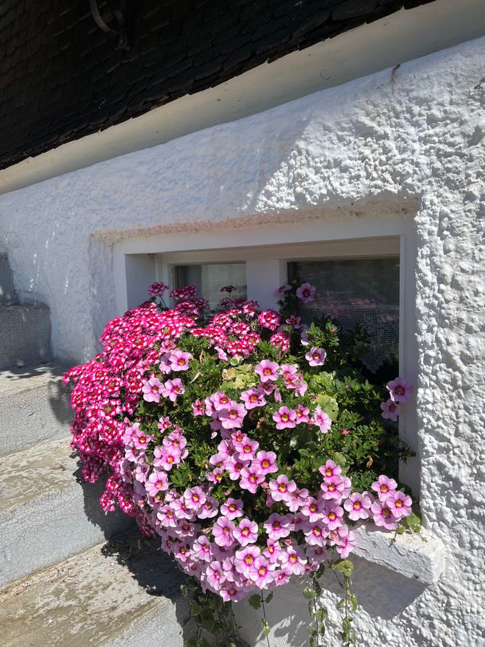 Gästehaus Nußbaumer