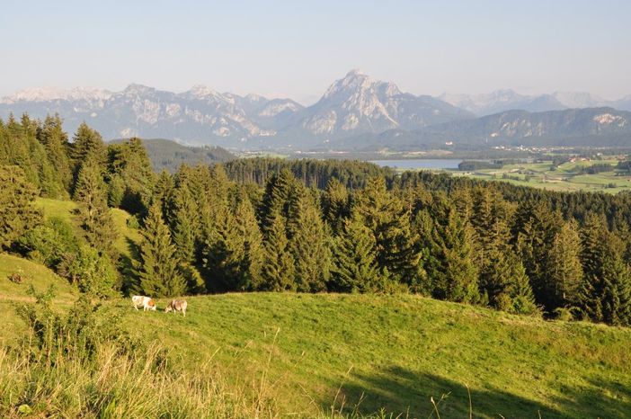 wanderungalpebeichelstein