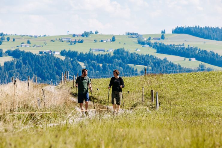 Premium-Spazierwanderweg Sonne & Weide