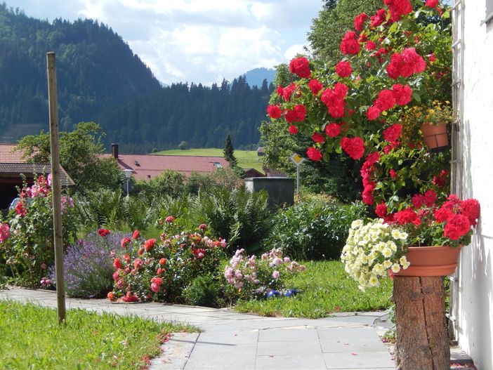 Zugang zum Haus Anton, Obermaiselstein