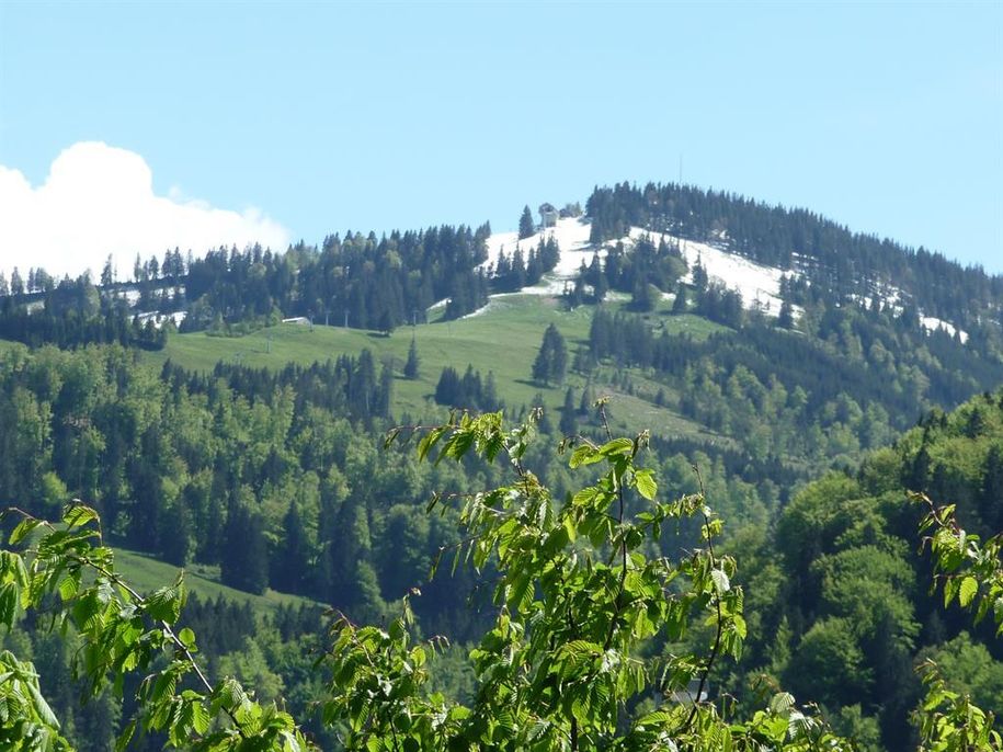 Unser Hausberg  der Mittag , im Frühling.