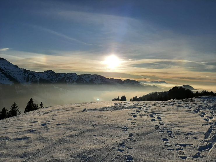 Prodel in der winterlichen Sonne