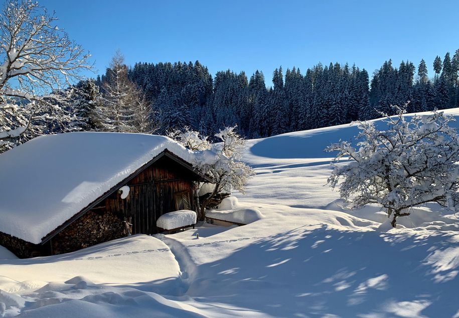Wintergarten