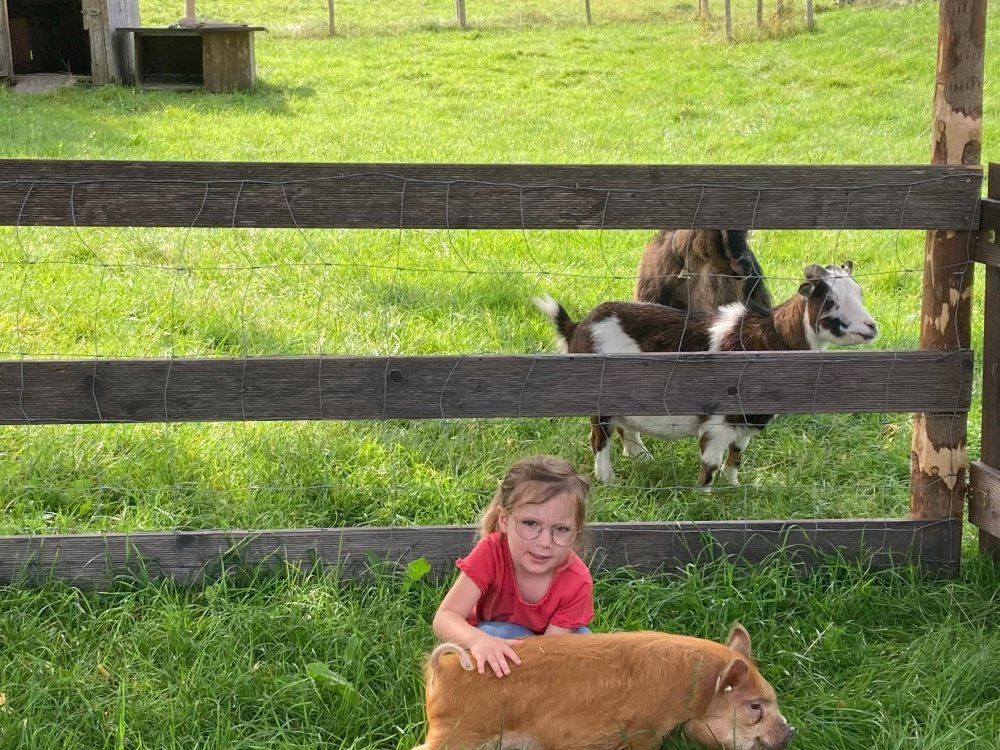 rudirsselundpiratgrunzi