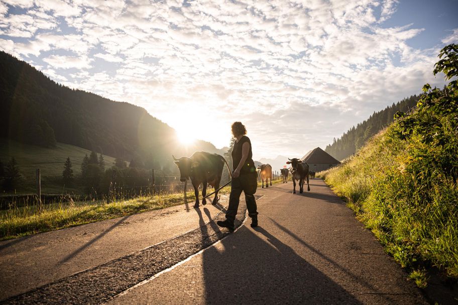 Sennalpe Schattwald - Senn auf Zeit 2