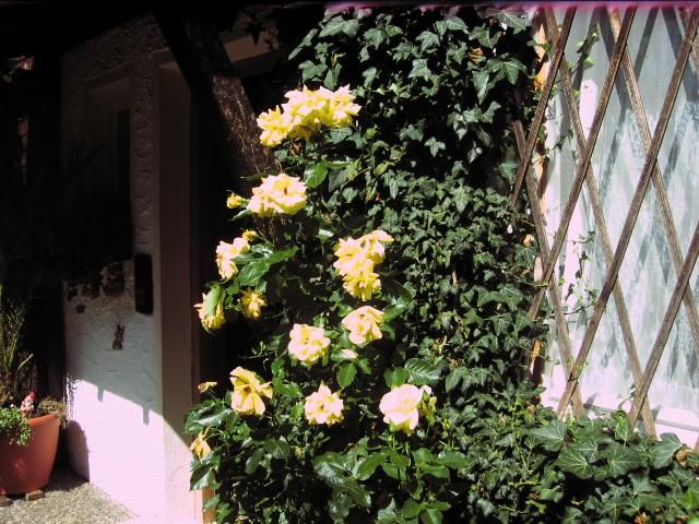 Impressionen