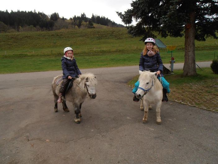 Ponyreiten