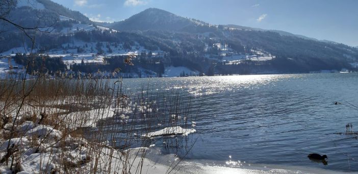 Alpsee im Februar