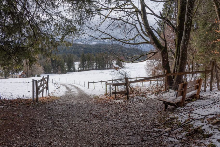 Der Weg führ immer stetig bergauf bis zum ersten Waldstück mit einer Aussichtsbank.