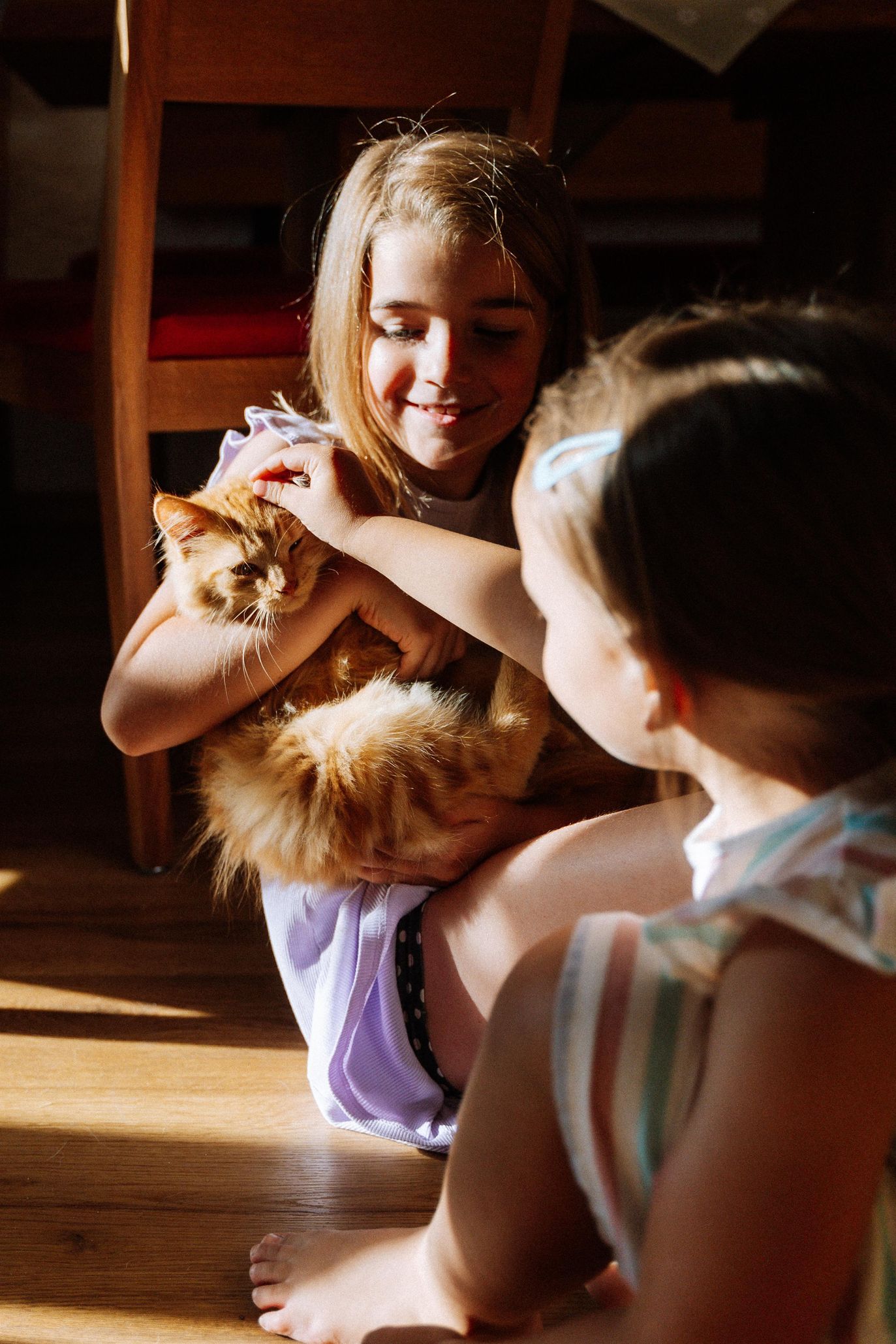 Mango genießt Streicheleinheiten