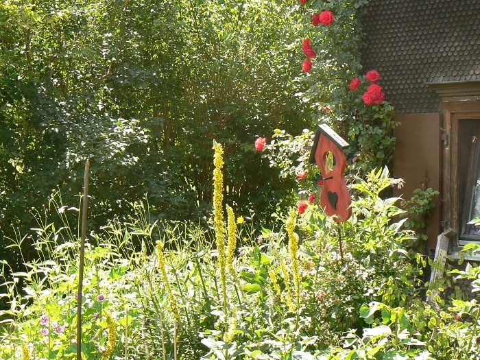 Blumen
