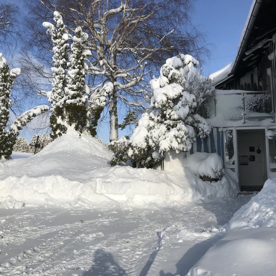 Winter