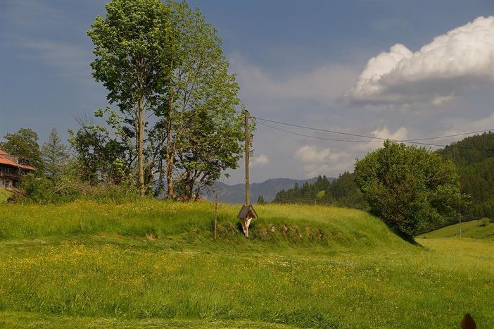 Aussicht ins Grüne