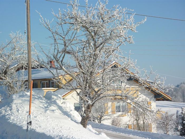 schöner Wintertag