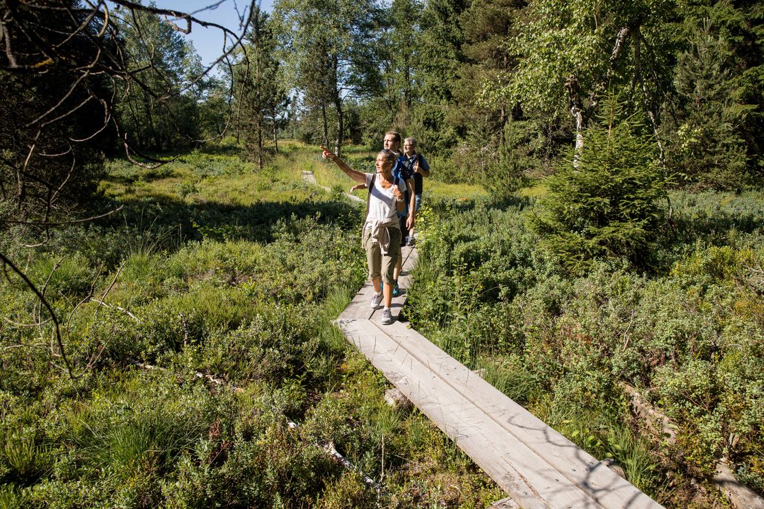 Moorführung durch die Bodenmöser