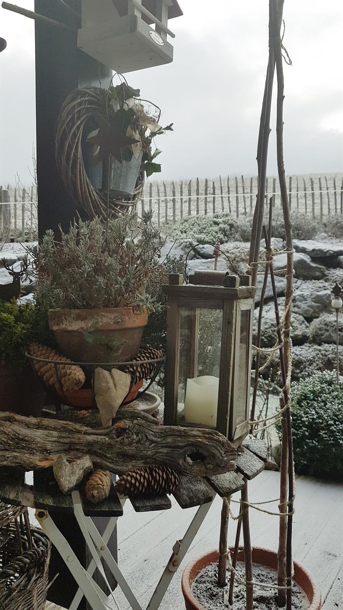 Rund ums Haus