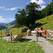 Alte Eibe bei Balderschwang