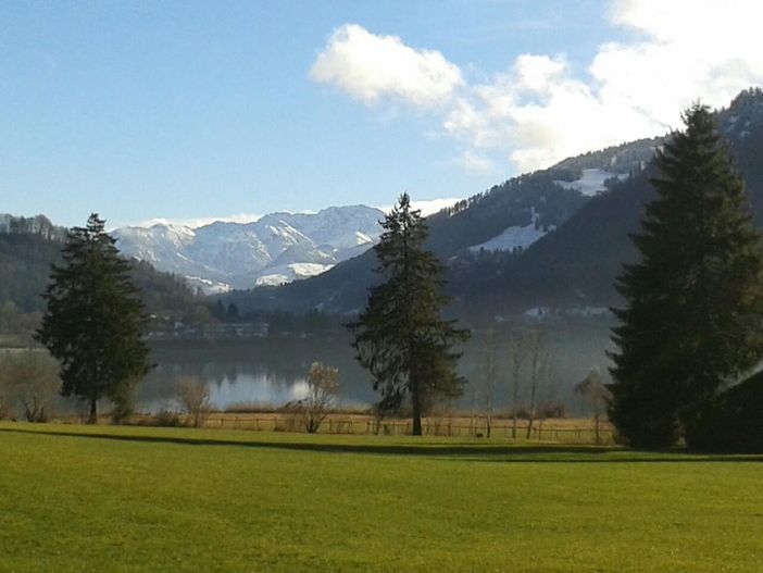 Am Alpsee