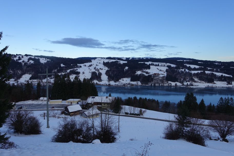 Vom Alpsee auf's Gschwender Horn (1.450m)