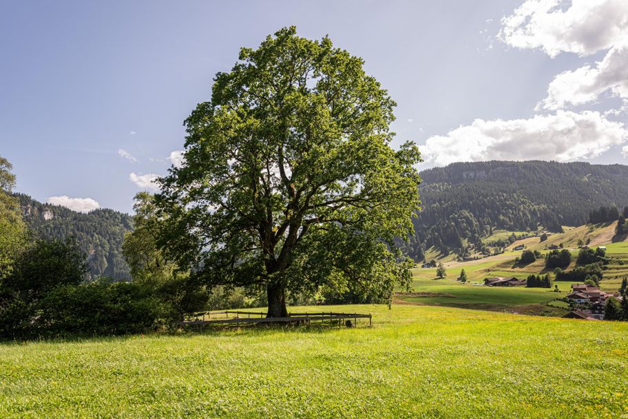 Ort der Besinnung - Obermaiselstein