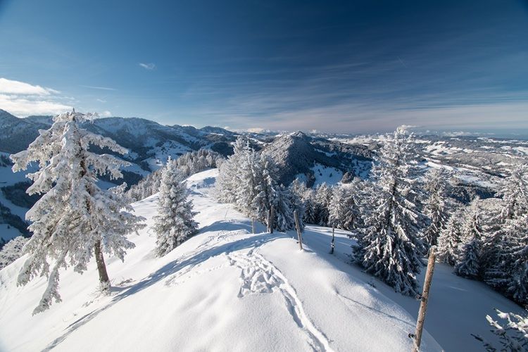 Mit dem Ranger unterwegs_Schnee_Rolf Eberhardt (3)