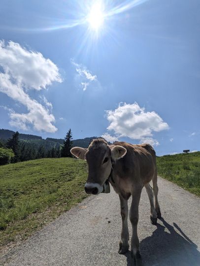 Fire Trail Nesselwang