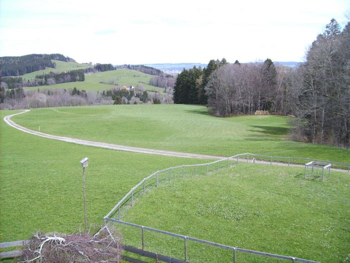 Wald- und Wiesenweg