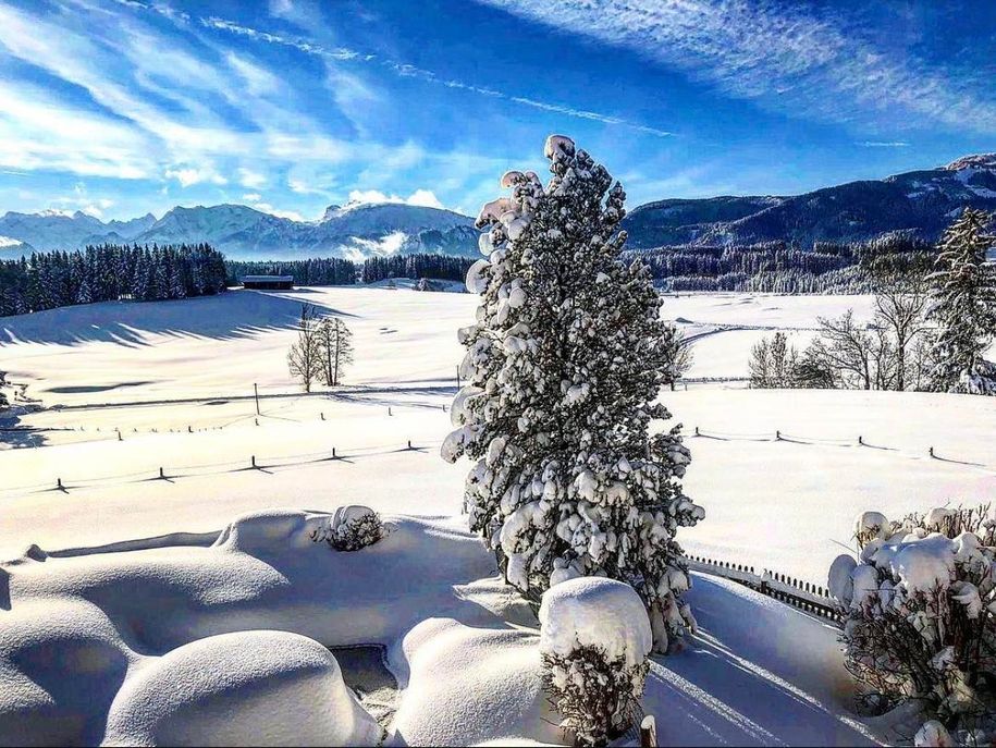 Garten und Ausblick von der Wohnung im Winter