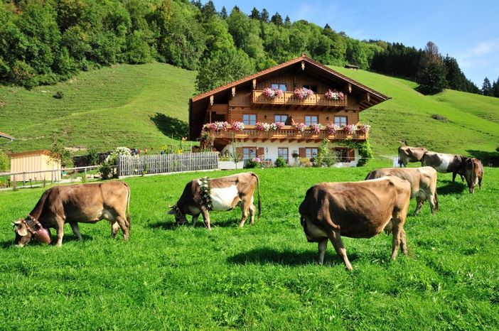 Allgäuer Landleben erleben