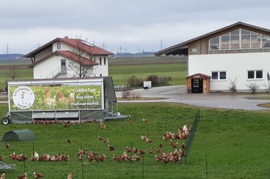 Station Wiesen-Ei