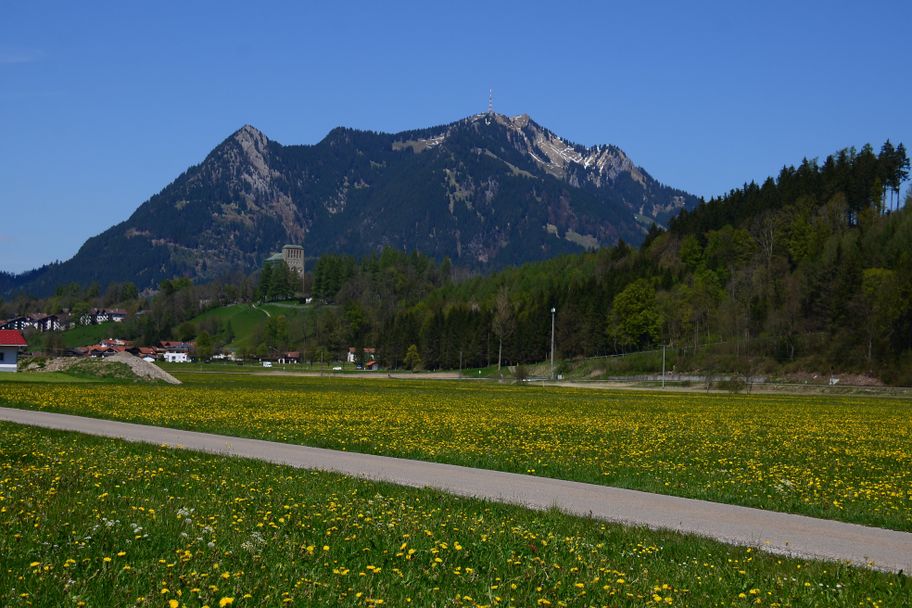 Blick vom Wiesenweg auf den Grünten
