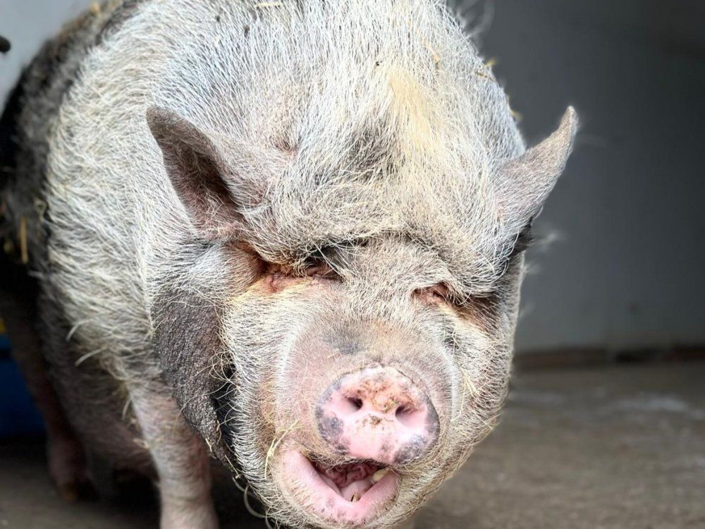 WhatsApp Bild 2025-11-23 um 16-59-21_88542191